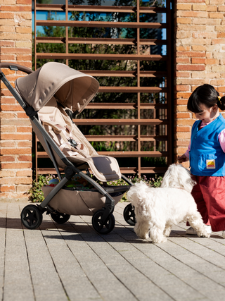 Aer2 Buggy - Sage Green