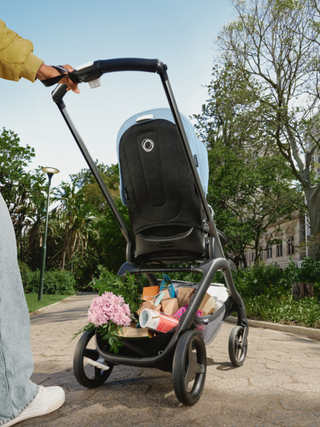 Dragonfly komplett 2-in-1 - Black Forest