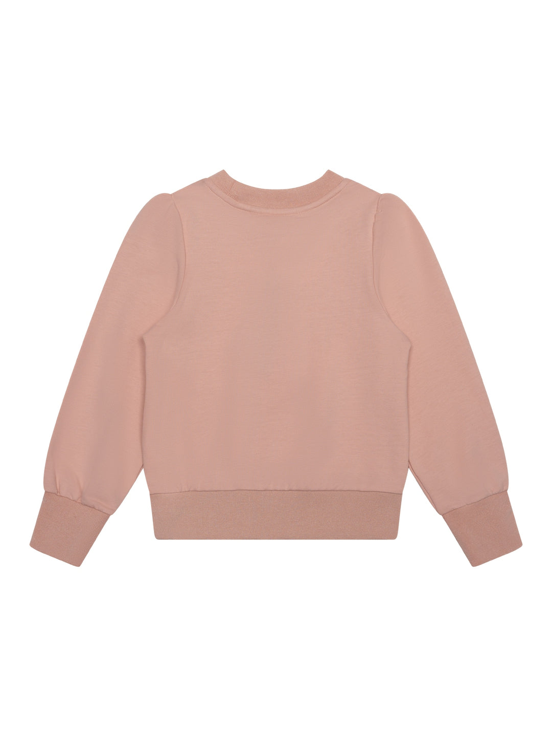 Sweatshirt mit Stickerei - Pale Blush