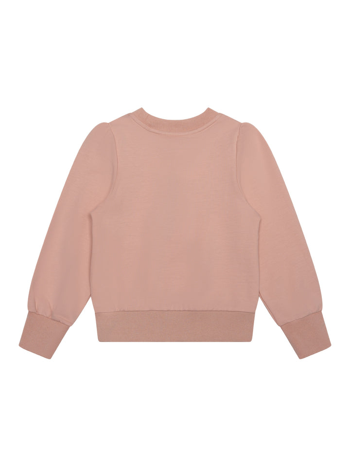 Sweatshirt mit Stickerei - Pale Blush