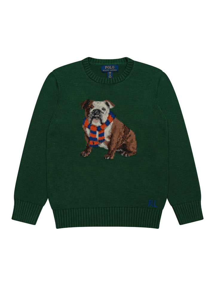 Strickpullover Bulldogge - Grün