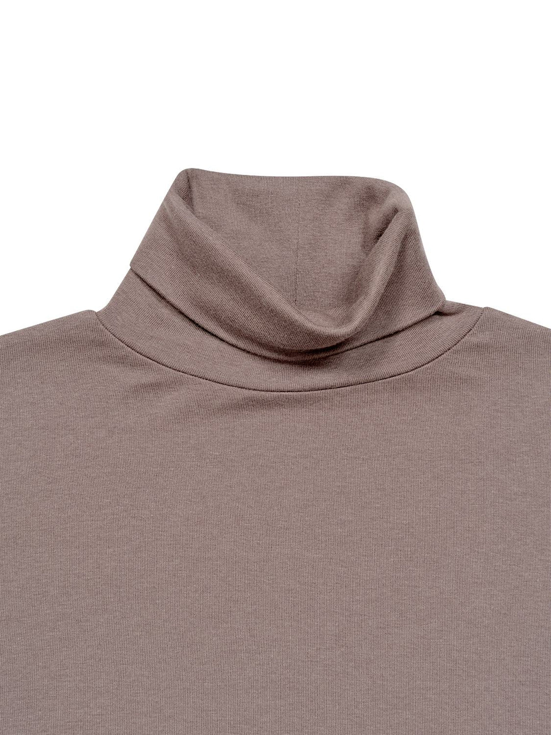 Longsleeve Turtleneck