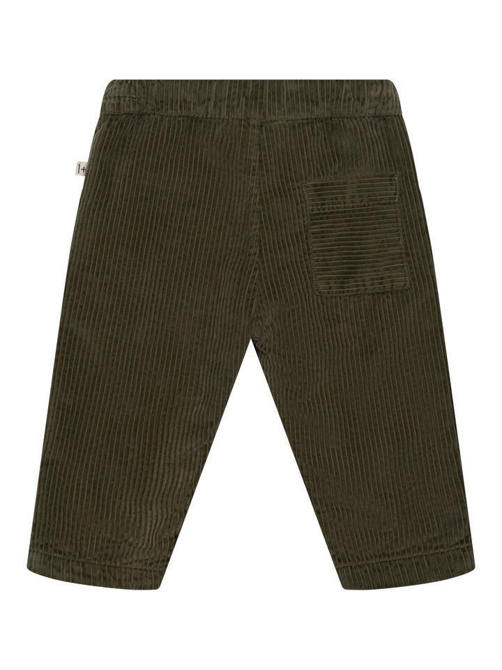 Ovidi Cordhose - Olive