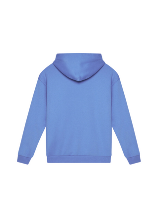 Hoodie mit Tommy Tape und Logo