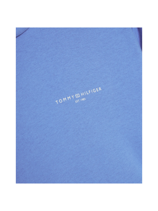 Hoodie mit Tommy Tape und Logo