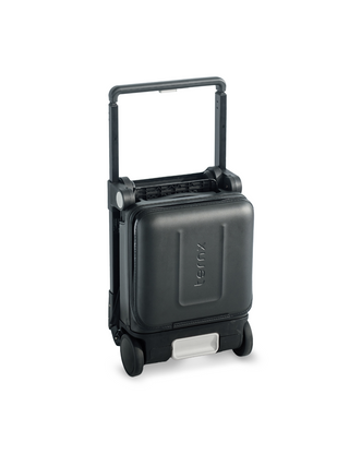 TernX Carry On Reisekinderwagen