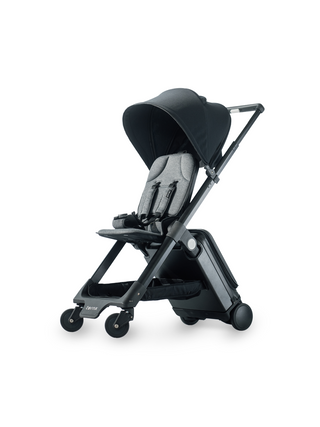 TernX Carry On Reisekinderwagen