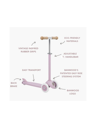 Eco Scooter Lavender