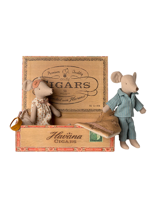 Mama & Papa Mäuse in Zigarrenkiste