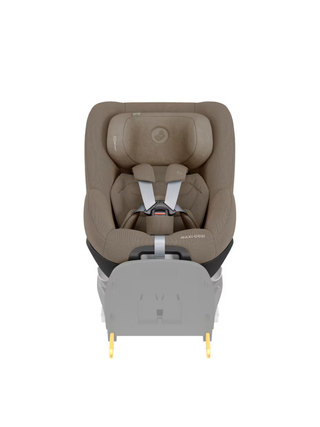 Pearl 360 Pro - Authentic Truffle