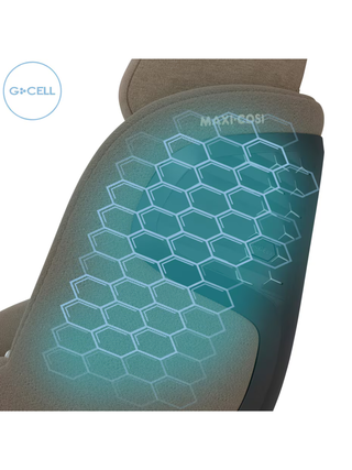 Pearl 360 Pro - Authentic Truffle