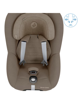 Pearl 360 Pro - Authentic Truffle