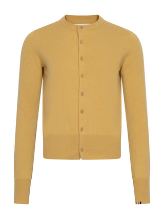 Strickjacke n°300 Little 2 in Senfgelb