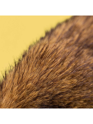 Hoppleston Luxe Bunny Original