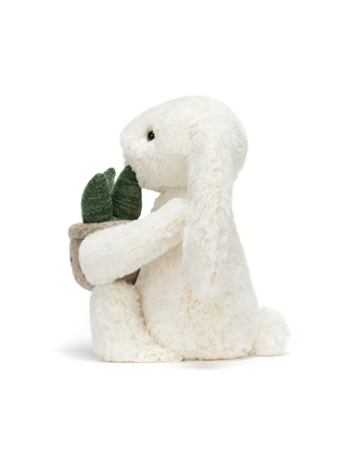 Cream Bunny mit Pflanze