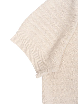 Le Maille Chevron Poloshirt