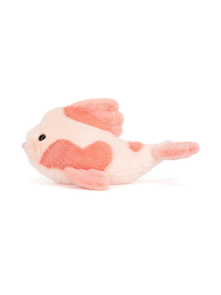 Fancy Carp / Zierkarpfen