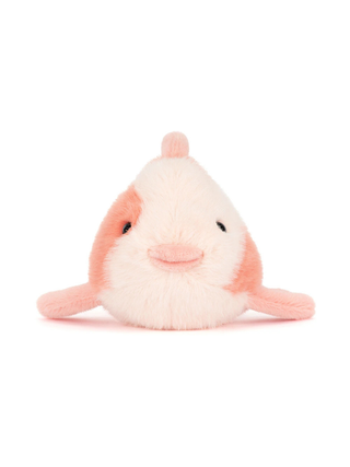 Fancy Carp / Zierkarpfen