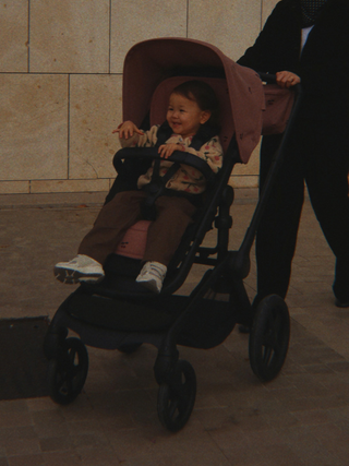 Bugaboo x Konges Sløjd Butterfly 2 Dusty Pink Cherry