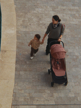 Bugaboo x Konges Sløjd Butterfly 2 Dusty Pink Cherry