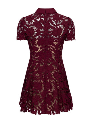 Burgunderfarbenes Spitzen-Minikleid