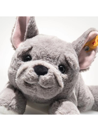 Brie Franzoesische Bulldogge, 24 cm, liegend