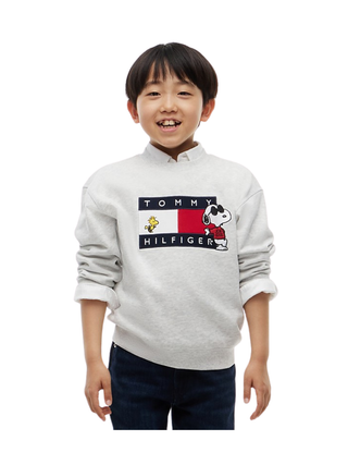 Pullover mit Peanuts® Flag-Grafik-Stickerei Heather grey