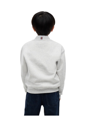 Pullover mit Peanuts® Flag-Grafik-Stickerei Heather grey