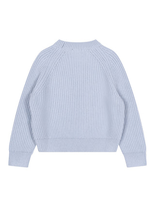 Rippstrickpullover mit Logo – Hellblau