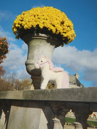 Starlight Einhorn