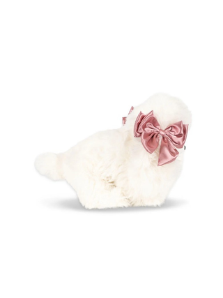Spitz Welpe