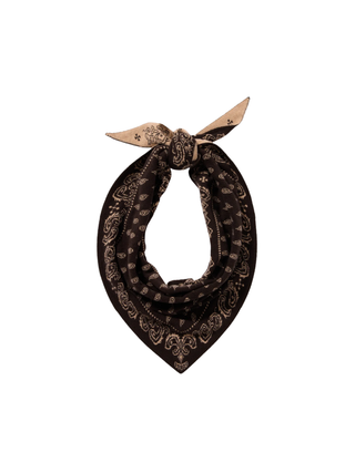 The Wild Rag - Paisley Bandana