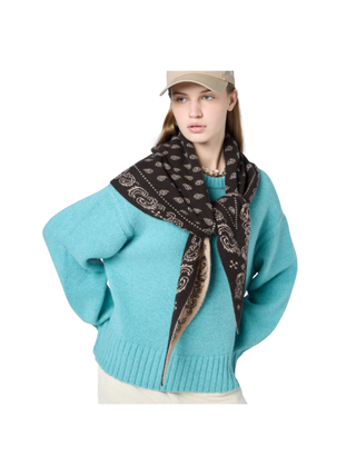 The Wild Rag - Paisley Bandana