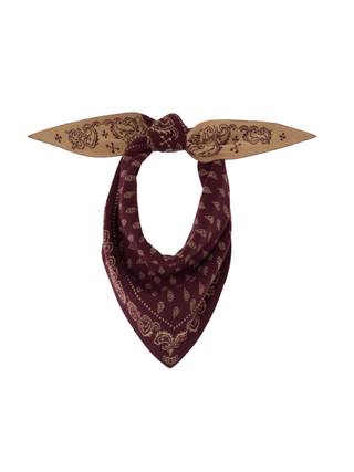 The Wild Rag - Paisley Bandana