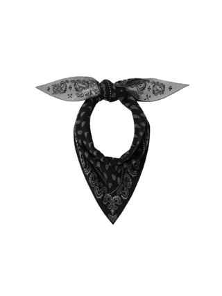 The Wild Rag - Paisley Bandana