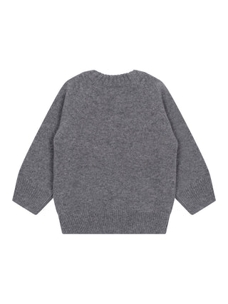 Pullover aus Merinowolle - Grau